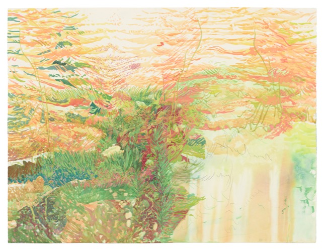 Water Study 4